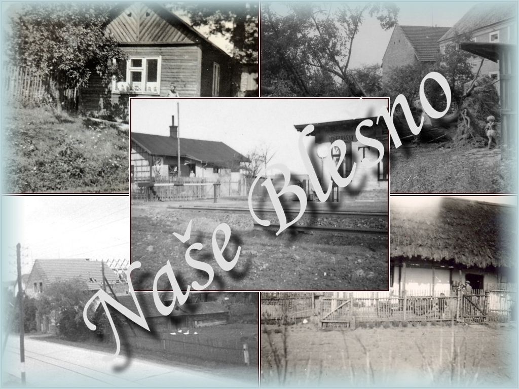nase blesno1 cb
