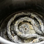 Πλάκα σε ένα βραστήρα ως κρυφό σήμα για την ποιότητα του νερού και ένας απλός τρόπος για να επαναφέρετε τη λάμψη στον εξοπλισμό 1778563846_Πλάκα-σε-ένα-βραστήρα-ως-κρυφό-σήμα-για-την-ποιότητα.webp.webp